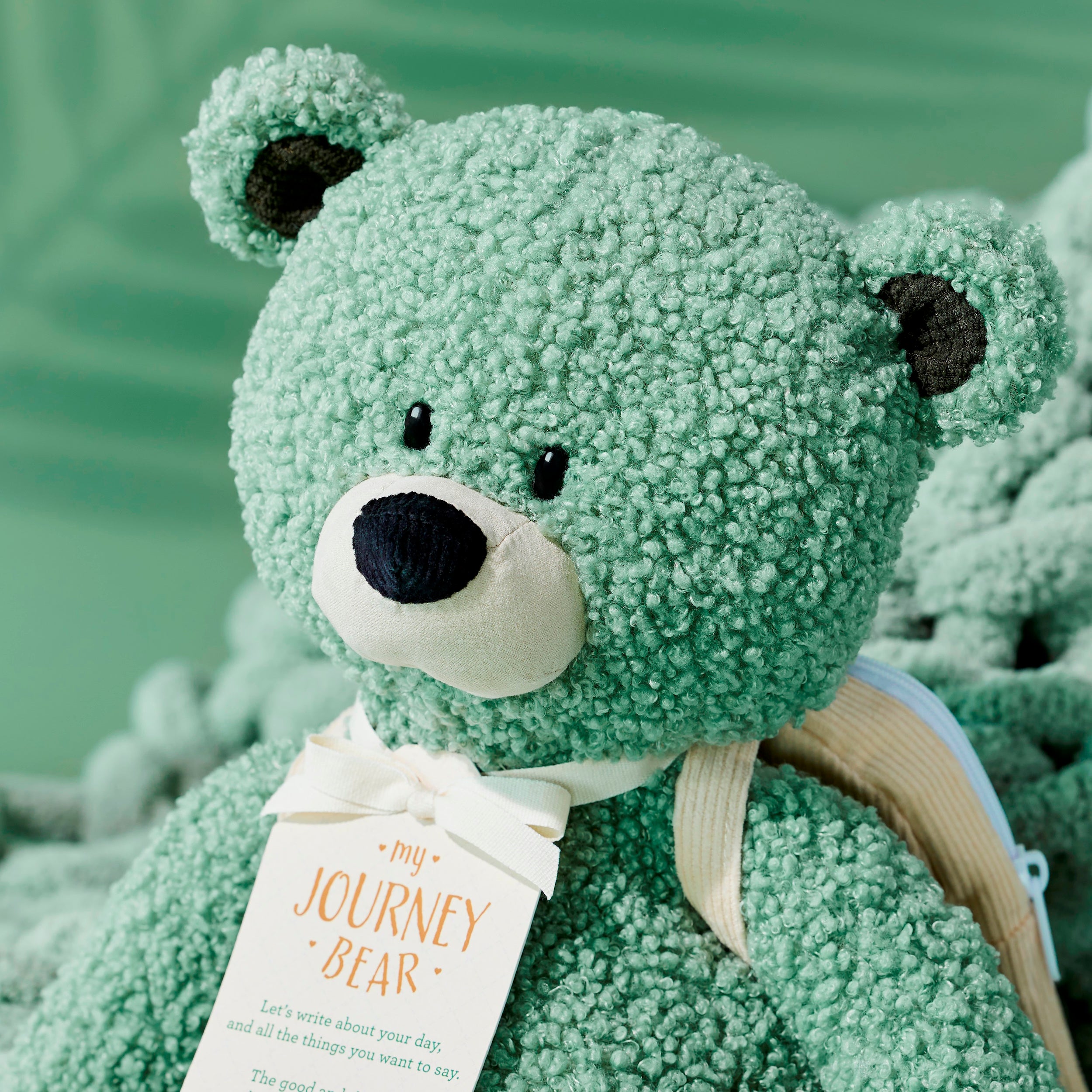 My Journey Bear by Demdaco Personalized