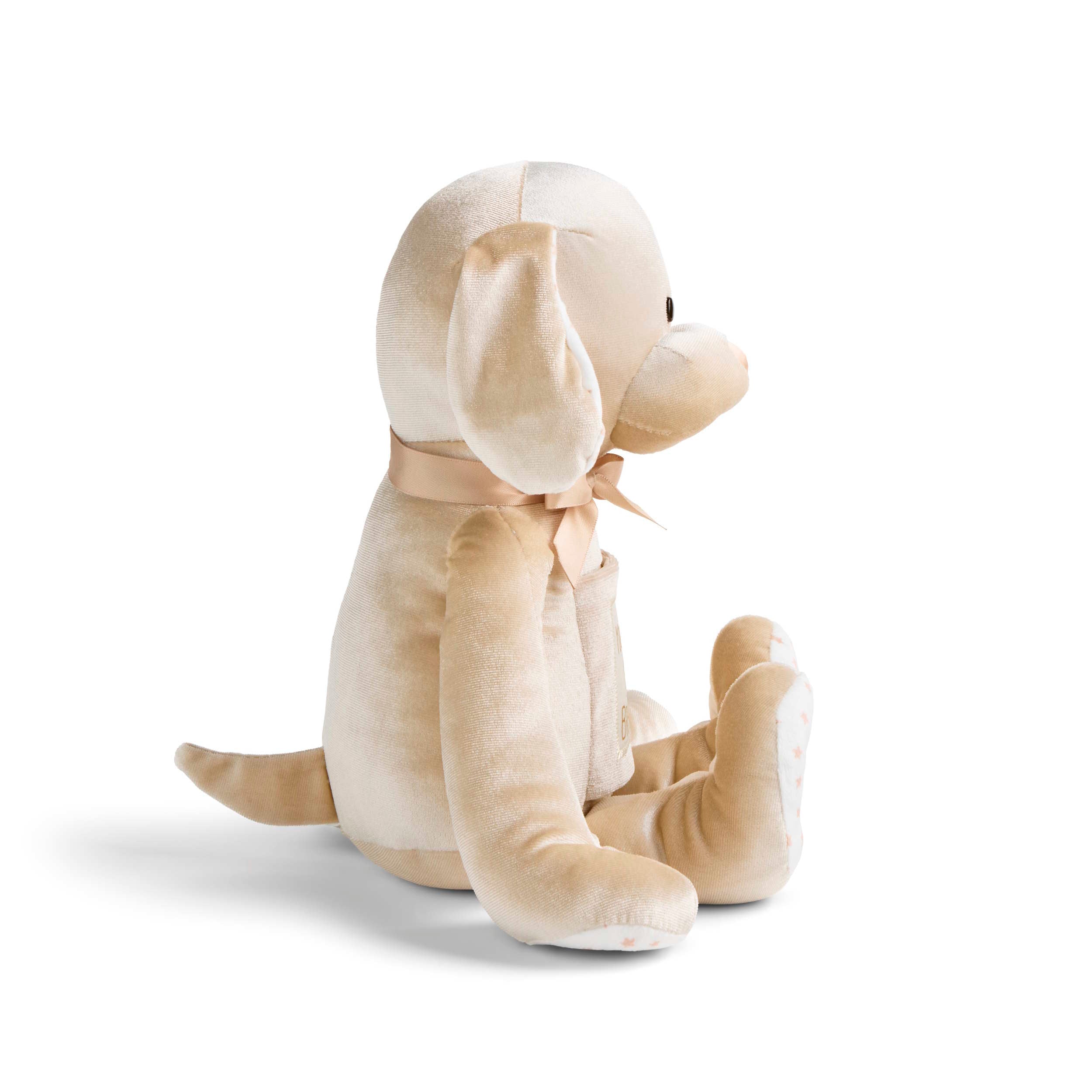 You Are So Brave Taupe Puppy by Demdaco
