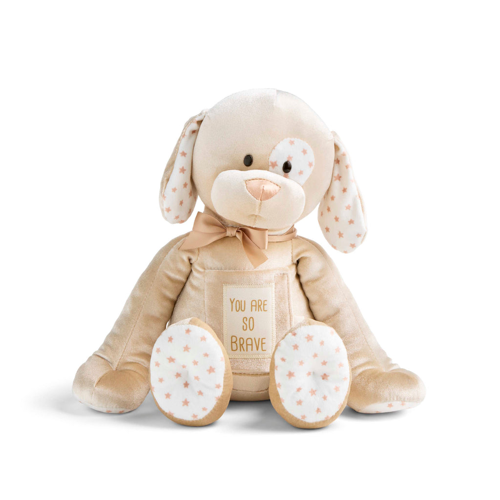 You Are So Brave Taupe Puppy by Demdaco
